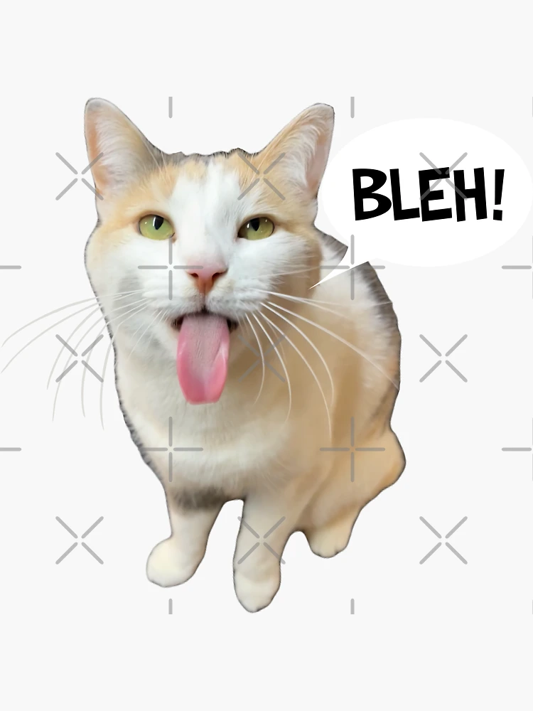 Silly BLEHHHHH :P Cat Meme PFP Profile Picture