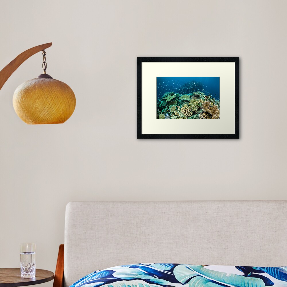 Coral reef- cradle of life Framed Art Print