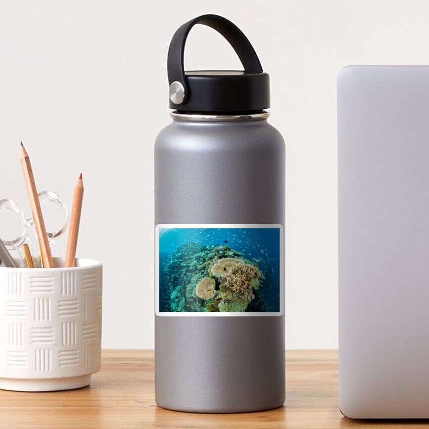 Acropora Sticker