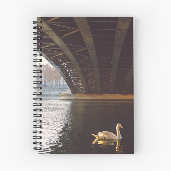 Item preview, Swan Swimming Under Bridge in Lyon, French City designed and sold by CarolinaReina.