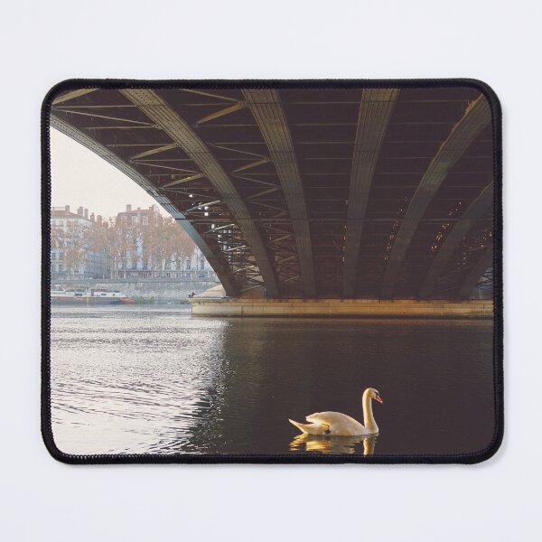 Item preview, Swan Swimming Under Bridge in Lyon, French City designed and sold by CarolinaReina.