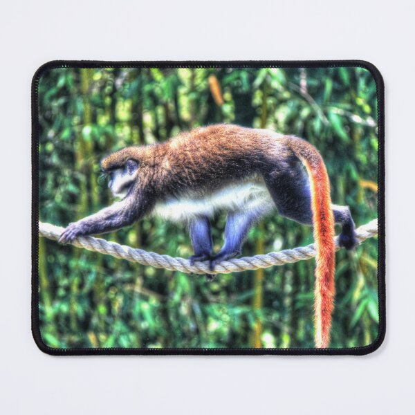 Item preview, Red Tail Monkey on a Rope designed and sold by Blackadder Photography.