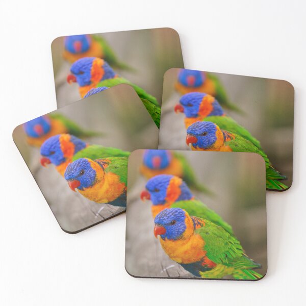 Item preview, rainbow lorikeets designed and sold by rogersmith.