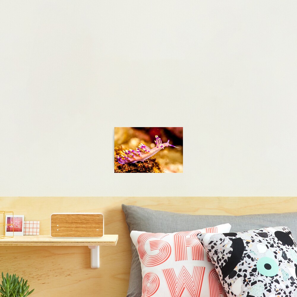 Mouthful of pain Photographic Print