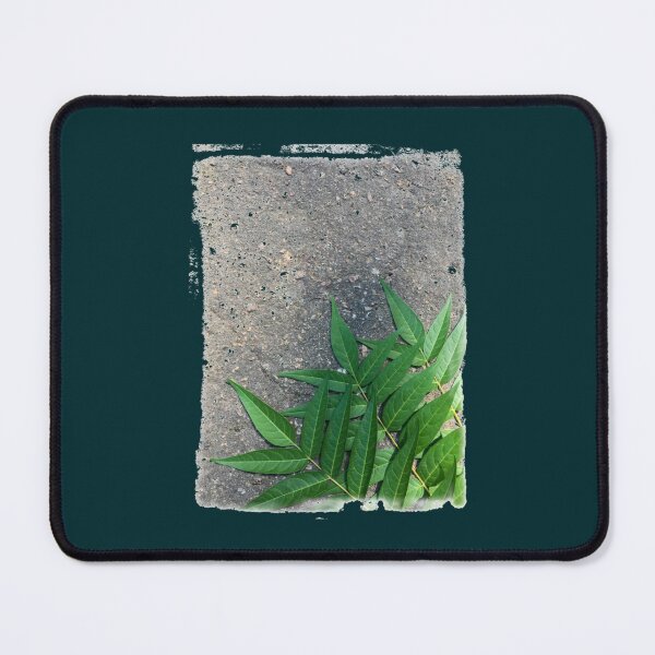 Item preview, green leaves on the pavement Premium  designed and sold by 22CrewKra.