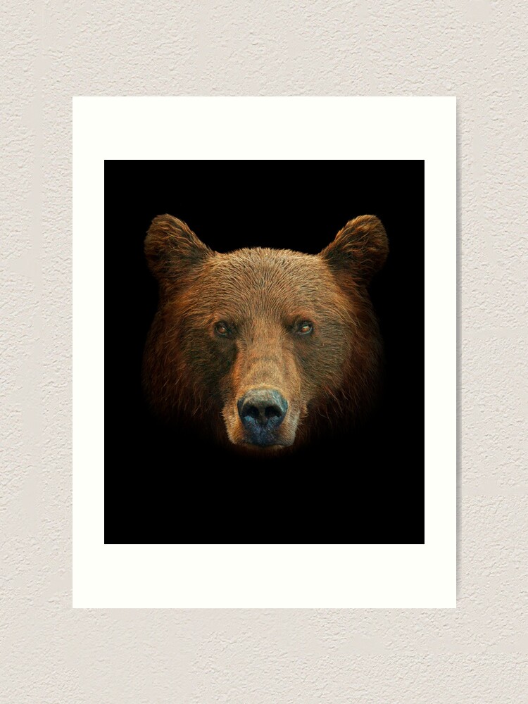 Brown bear fur texture Wall Mural