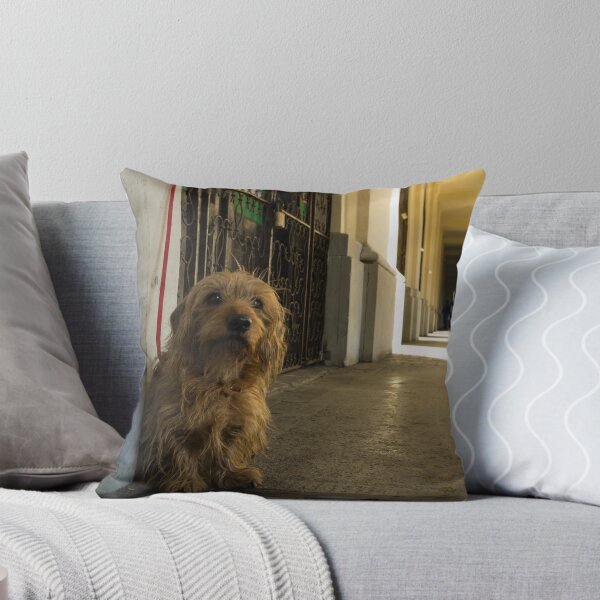 Item preview, Waiting and watching - Warsaw Poland designed and sold by Norman Repacholi | Keystone Photography.