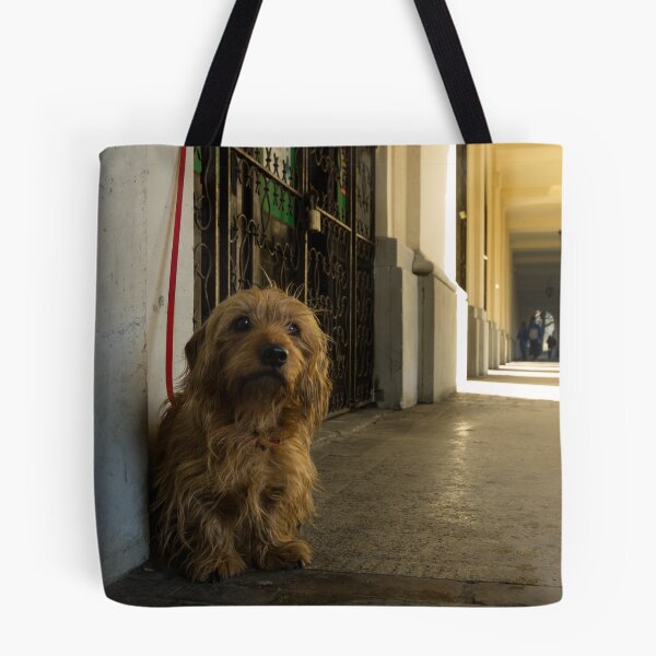 Item preview, Waiting and watching - Warsaw Poland designed and sold by Norman Repacholi | Keystone Photography.