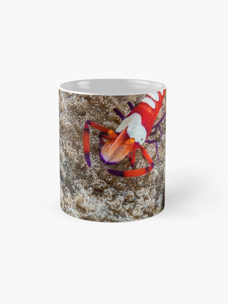 Alternate view of Emperor hitching a ride Mug
