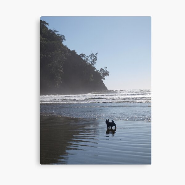 Ohope Beach Wall Art Redbubble