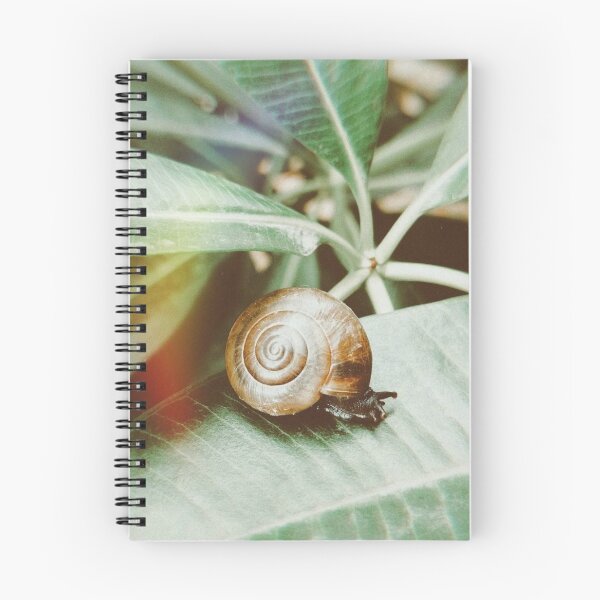 Item preview, I Snailed It designed and sold by kifayat22.