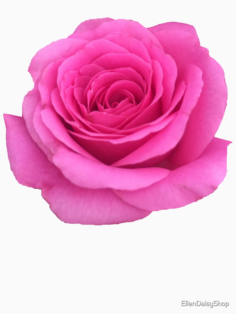 Pink Rose by EllenDaisyShop