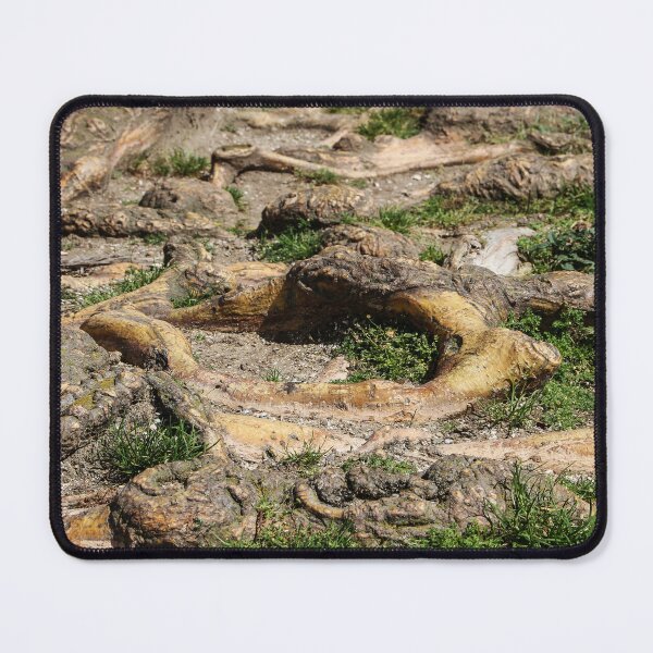 Item preview, Roots designed and sold by heatherfriedman.