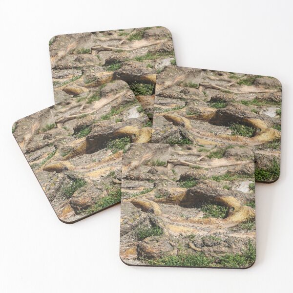 Item preview, Roots designed and sold by heatherfriedman.