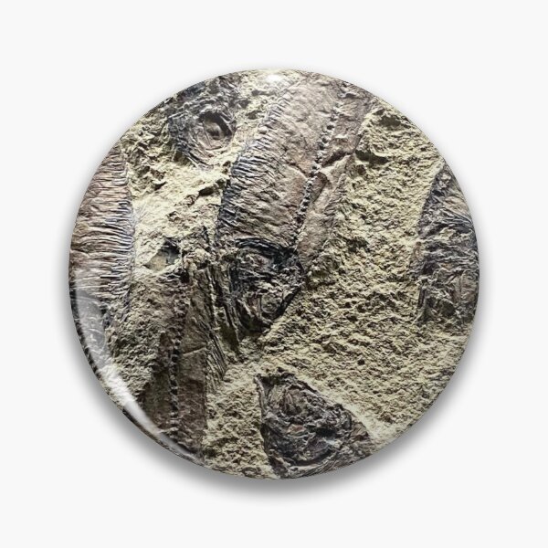 Item preview, Fossil Fish by Mark Ewing designed and sold by LifeSpice.