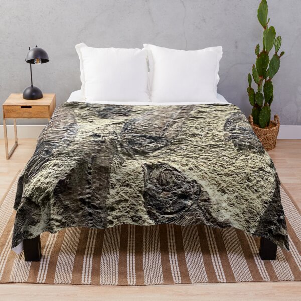 Item preview, Fossil Fish by Mark Ewing designed and sold by LifeSpice.
