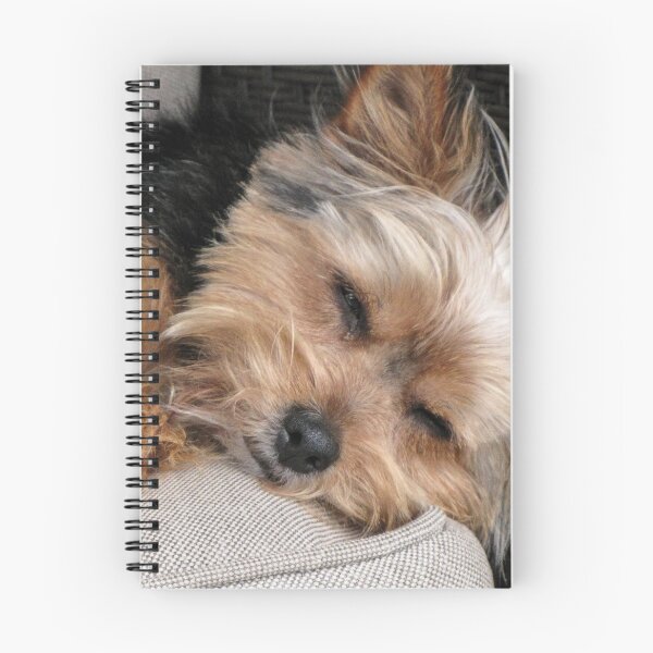 Item preview, Chipper - Rest time designed and sold by DPalmer.