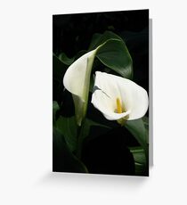 Pureness Greeting Card