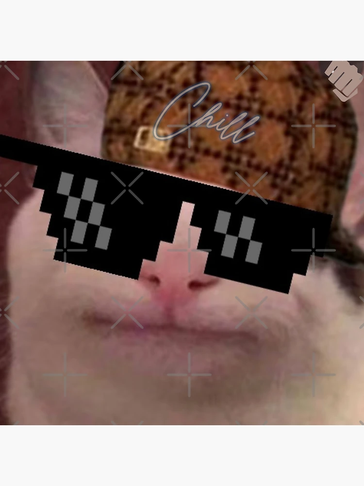 🔥 Beluga Cat Meme Coming Soon!