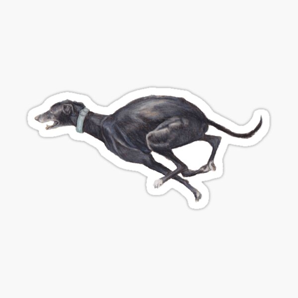 Black Running Greyhound Sticker