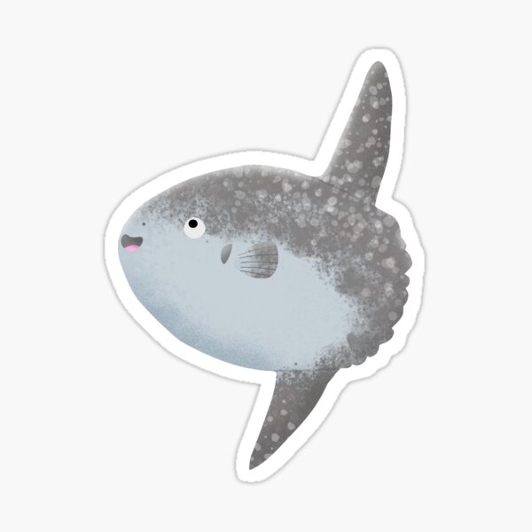 Vista previa del artículo con la obra «Ocean sunfish mola mola dibujos animados lindo», diseñado y vendido por FrogFactory.