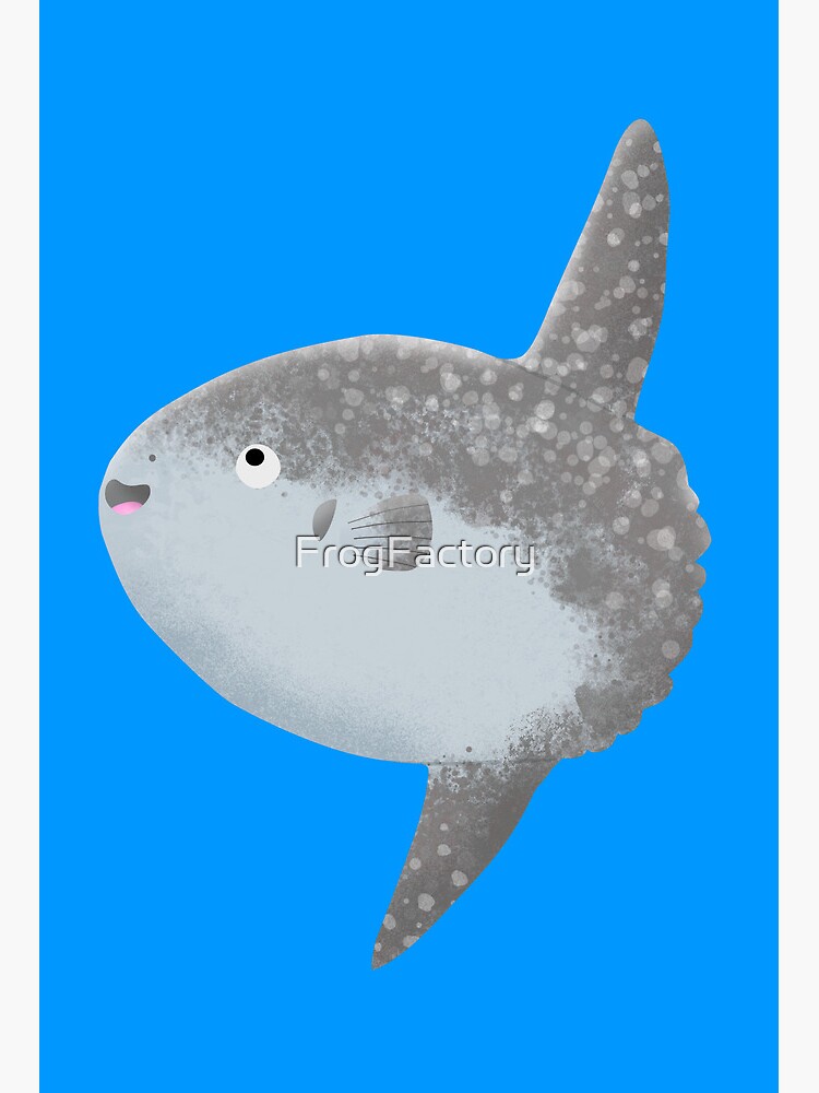 Ocean sunfish mola mola cute cartoon Art Board Print for Sale by  FrogFactory