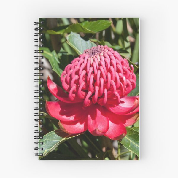 Item preview, Waratah 3 designed and sold by Fran Woods.