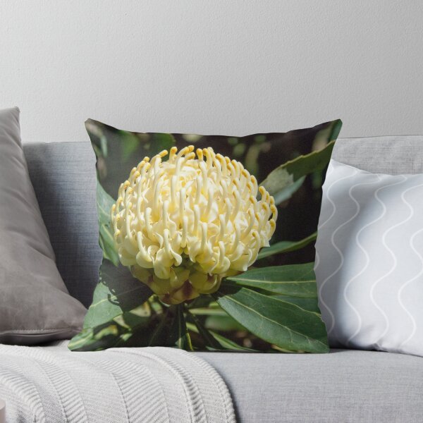 Item preview, White Waratah 2 designed and sold by Fran Woods.
