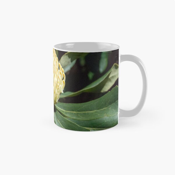Item preview, White Waratah 2 designed and sold by Fran Woods.