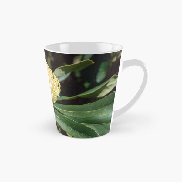 Item preview, White Waratah 2 designed and sold by Fran Woods.