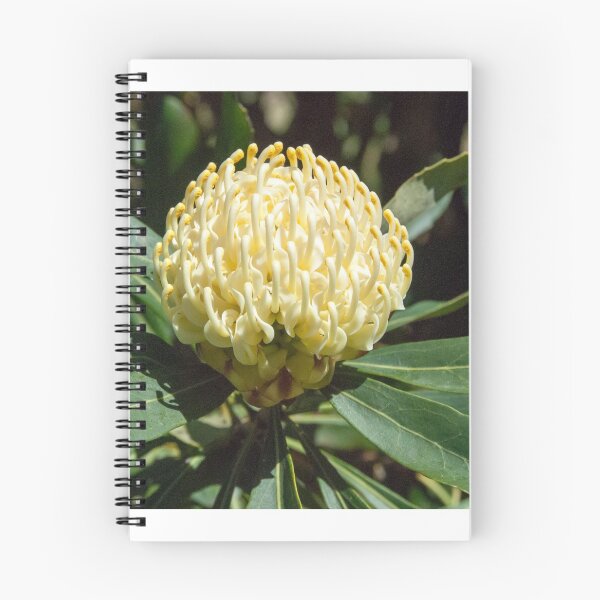 Item preview, White Waratah 2 designed and sold by Fran Woods.