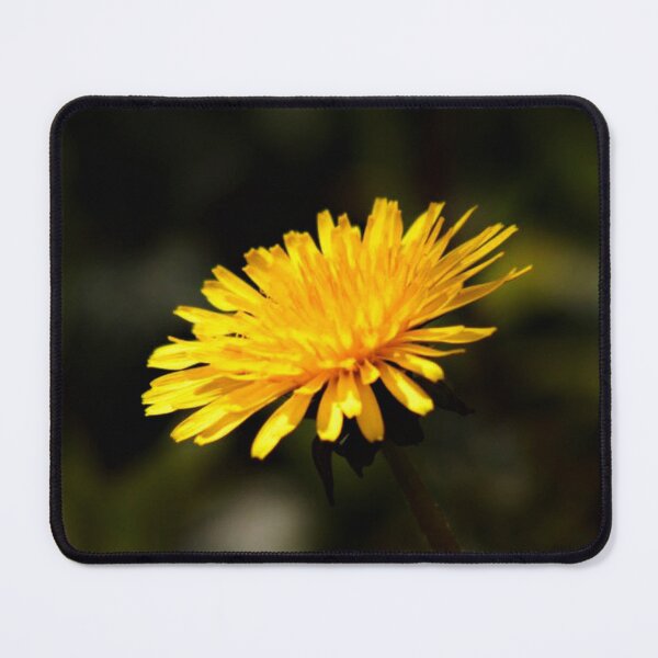 Item preview, yellow dandelion designed and sold by Francespoppy.