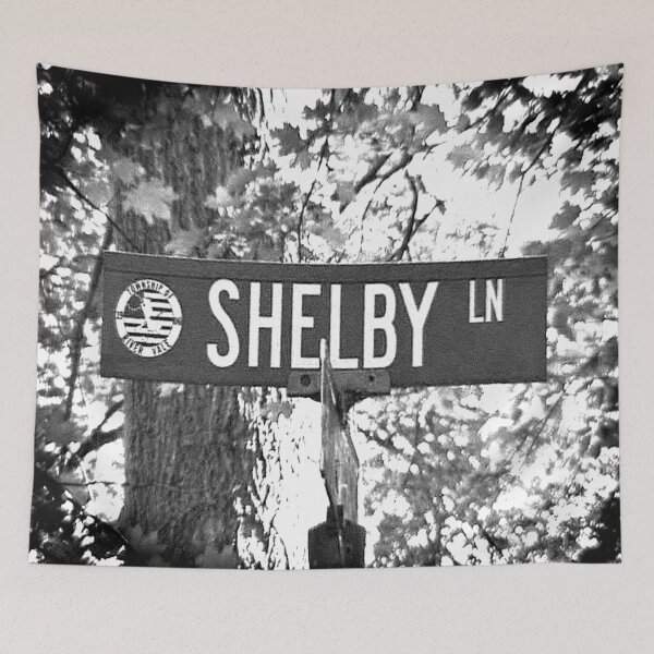 Artikelvorschau, Ein Straßenschild namens Shelby entworfen und verkauft von jcwest.