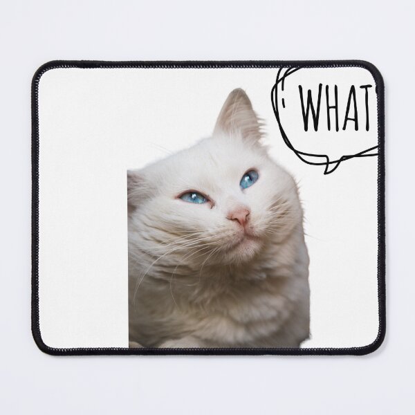 Item preview,  Funny Cats, Lovly Cats designed and sold by Sanabelaa.