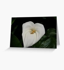 Pureness 2 Greeting Card