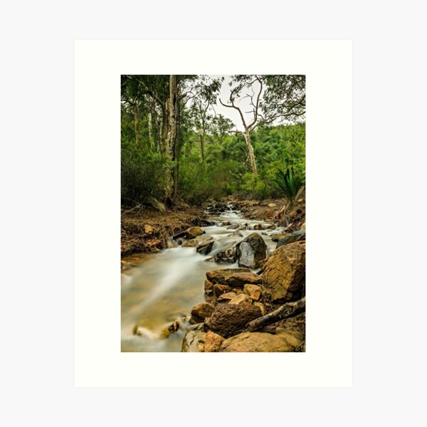 Item preview, Lesmurdie Falls, Perth, Western Australia designed and sold by VinciPhotos.