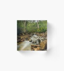 Lesmurdie Falls, Perth, Western Australia Acrylic Block