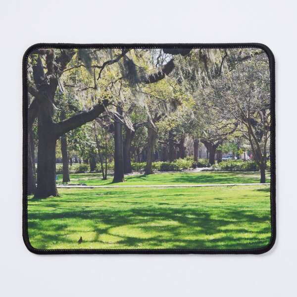 Item preview, Spanish Moss and Live Oaks in Savannah Georgia designed and sold by CarolinaReina.