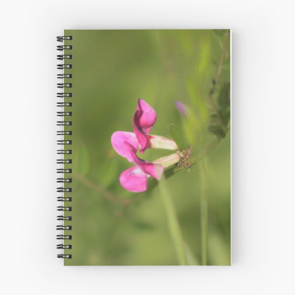 Item preview, common vetch designed and sold by Francespoppy.