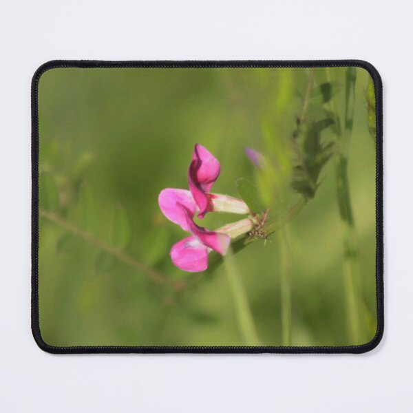 Item preview, common vetch designed and sold by Francespoppy.