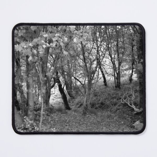 Item preview, Pine Trees designed and sold by BritishYank.