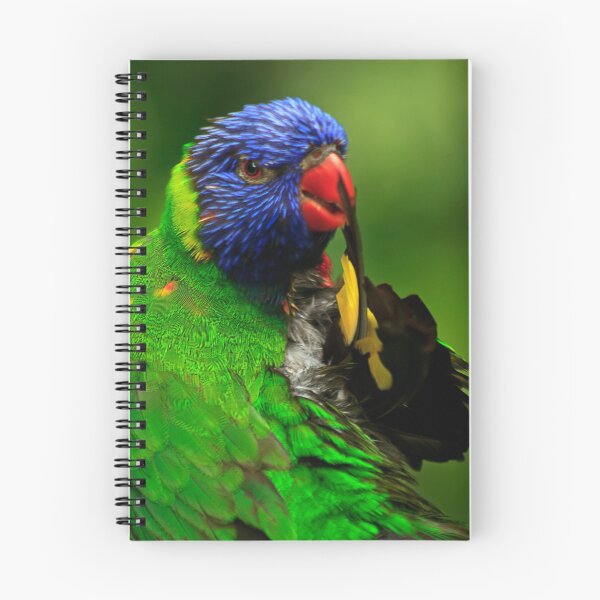 Item preview, Rainbow Lorikeet III designed and sold by Didi Bingham.