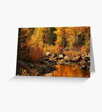 Sierra Gold Greeting Card