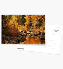 Sierra Gold Postcards