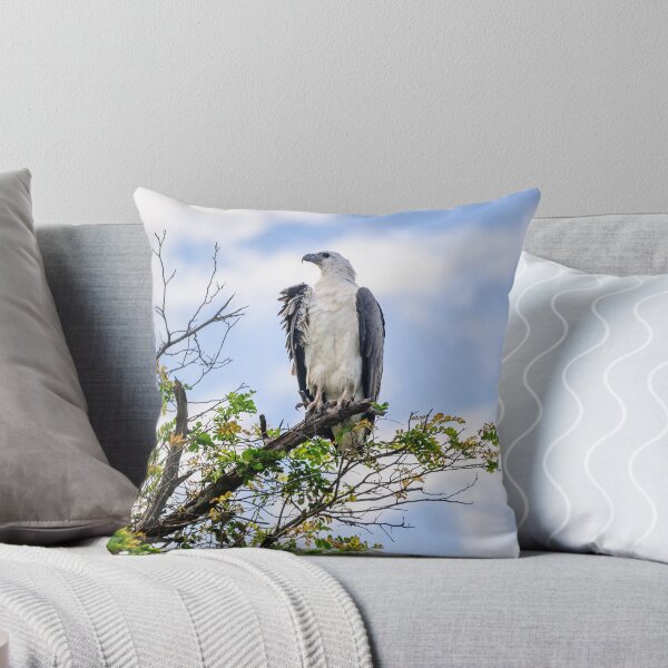 Item preview, A majestic white bellied Sea Eagle at Corroboree Billabong designed and sold by Danielasphotos.