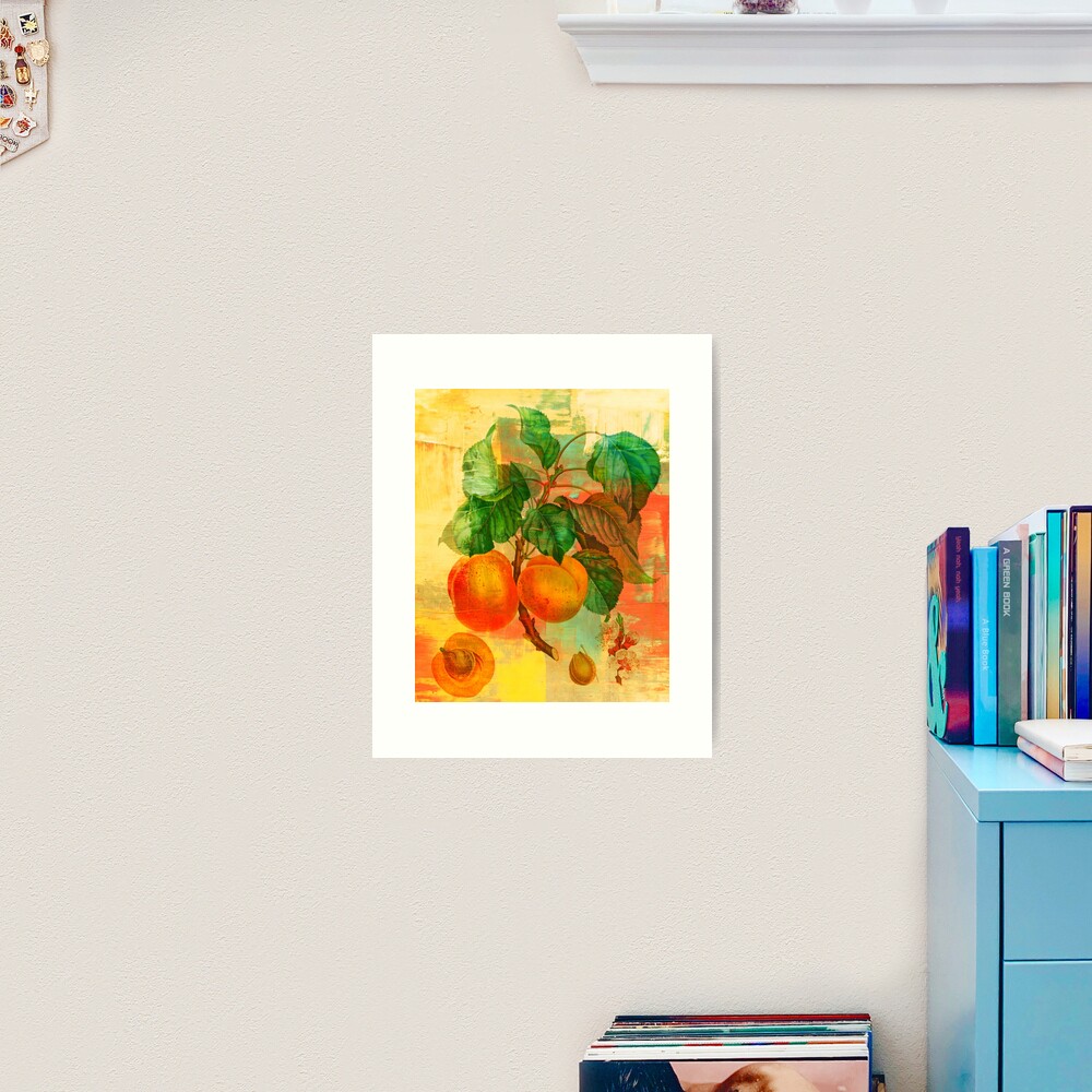 Botanical Print with a Modern Twist- Apricots- Peaches Art Print