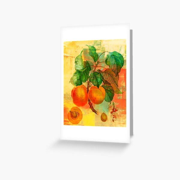 Botanical Print with a Modern Twist- Apricots- Peaches Greeting Card