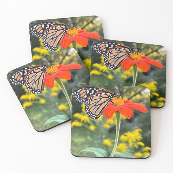 Item preview, Salvar insectos en peligro de extinción con algodoncillo y migración anual de flores silvestres designed and sold by TherapeuticNest.