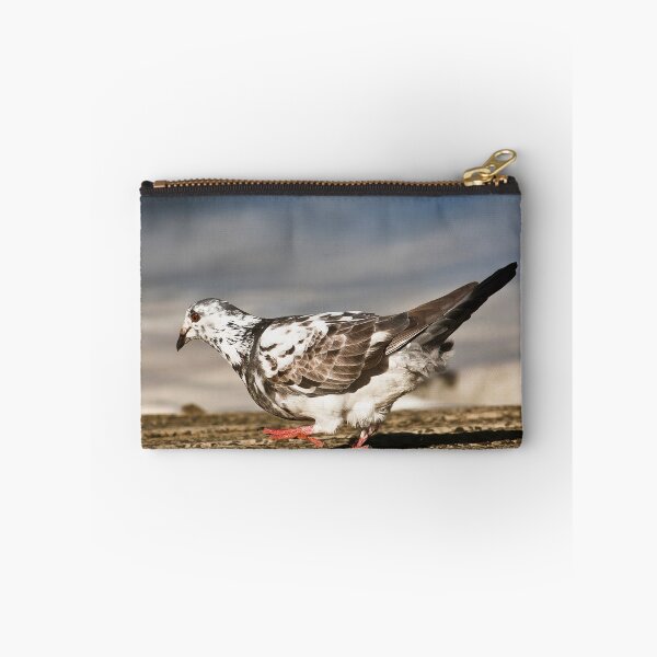 Item preview, Australian Domestic pigeon 581 designed and sold by kevin Chippindall.