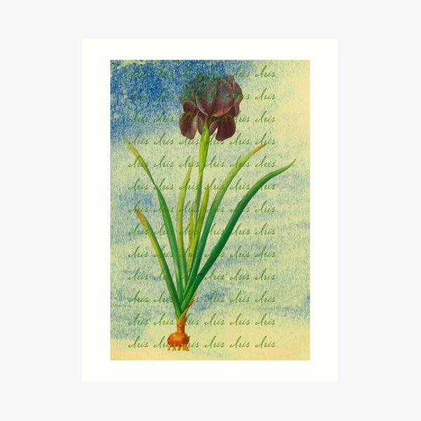 Art Print
